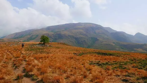 shebshi mountain in Nigeria