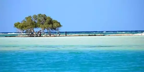 Sharm El Luli, Marsa Alam