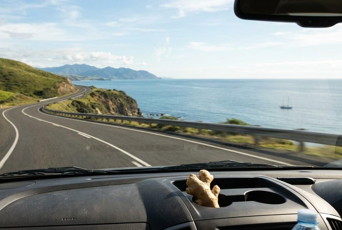 When Should US Travelers Visit the Caribbean?