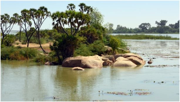 Niger River Location