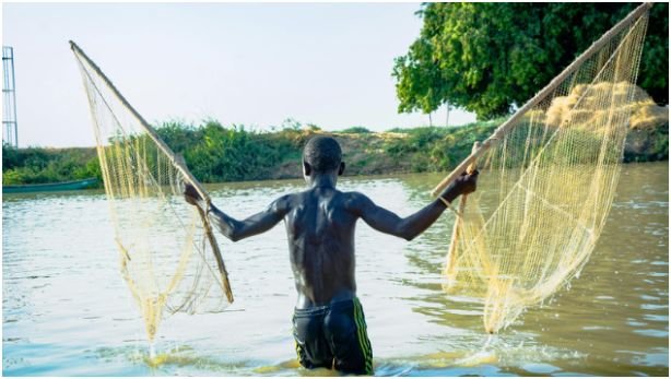 Chad Basin Rivers in Nigeria