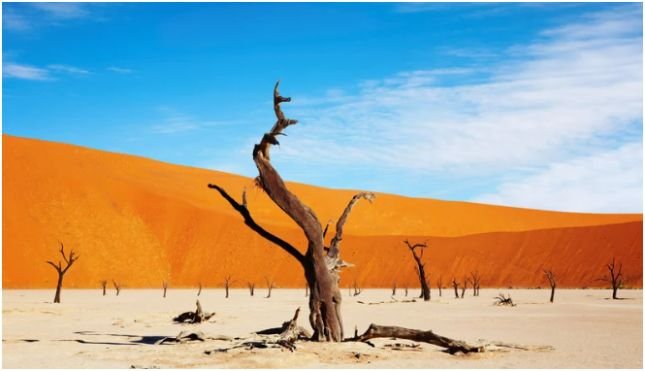 Namib Desert, Namibia