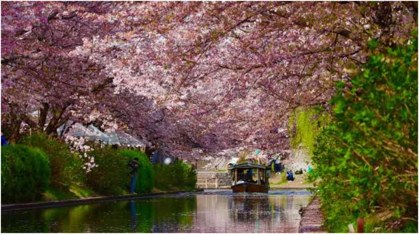 cultural destinations to visit for authentic local experiences