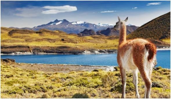 Patagonia, Chile and Argentina
