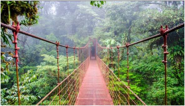 Osa Peninsula, Costa Rica